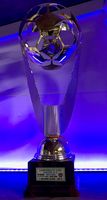 CAMPIONE AMATORI GIRONE A 2014-15.jpg